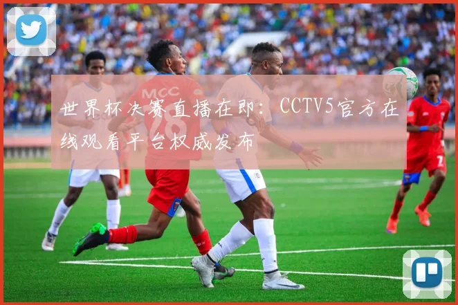 世界杯决赛直播在即：CCTV5官方在线观看平台权威发布
