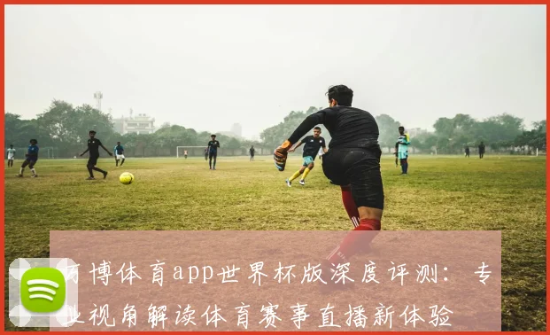万博体育app世界杯版深度评测：专业视角解读体育赛事直播新体验